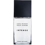 Issey Miyake Pour Homme Intense