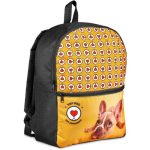 Pre-production Sample Hoppla Huron Backpack
