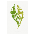 Gathering Green 9 Art Print