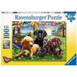 - Puppy Picnic 100PC XXL Puzzle