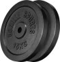 Cast Iron Weight Plate Set 2X 15KG Black