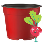 Medium Pots - Red