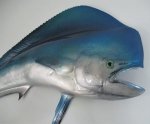 Dorado Large 130CM Ld 02