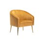 - Abhilasha Velvet Chair - Gold Leg Mustard