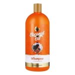 Mera Amla Spoo 1L Dry Coconut