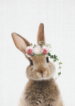Floral Rabbit - Canvas Print - 600MM X 600MM