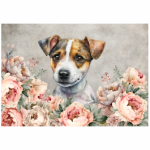 Deco Print Jack Russell And Peonies