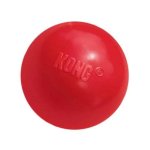 KONG Red Ball With Hole Small Perfect For Interactive Play Waggs Pet Shop