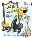 Monster In The Mirror - Level 14 Arabic English Paperback