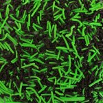 Chocolate And Green Vermicelli 200G