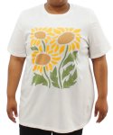 Ladies Printed Sunflower Tee - 60 Cream
