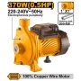 Ingco Centrifugal Pump 370W 0.5HP Up To 90 L/min