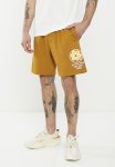 Vans Music Academy Fleece Short - Golden Brown