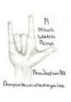 A Miracle Worker's Primer - Champion The Will Of The Ones You Love hardcover