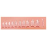 Sina Stiletto Clear Nail Tips 10 Sizes 500 PACK