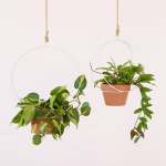 Andro Metal Hanger - White - 16CM Inner Diameter + 17CM Azalea Terracotta Pot