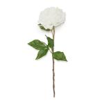 White Peony Spray