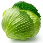 Veg Cabbage Green Each