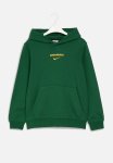 Nike Springbok Y Nk Hoodie Po Ft - Gorge Green university Gold