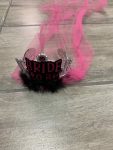 Bride To Be Crown With Veil