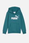 Puma Boys Essential NO.1 Logo Hoodie In Emerald Green - Emerald Green 5 To 6