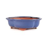 Assorted Glazed Bonsai Pots 10" - Blue Floriated 26 X 21 X 7CM