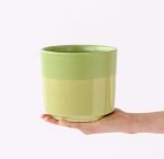 Pastille Planter - Lime - 13CM