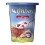 Danone Nutriday Low Fat Strawberry Yoghurt 450G