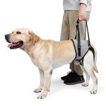 Gabefish Dog Leg Support For Back Legs Adjustable Lift Harness For Dog Breathable Dog Sling For Rear Legs Grey Small