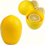 1PC Lemon Shaped Fresh-keeping Box Fruit Style Fresh-keeping Bowl Household Fresh-keeping Box Sealed Box Lemon Cut Storage Food