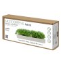 Microgreen Cabbage