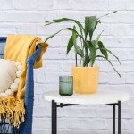 Speckled Cast Iron Plant - In Gloss Mustard Emerson Planter
