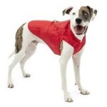 Kurgo Loft Dog Jacket Stylish & Functional Waggs Pet Shop