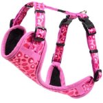 Rogz Fashion Comfy Xsmall Dog Harness - Wild Heart Waggs Online Pet Shop