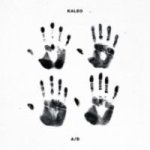 A b Vinyl Record