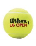 Wilson Us Open Sea-level Tennis Balls