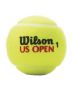 Wilson Us Open Sea-level Tennis Balls