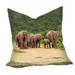 Elephant Family Luxury Scatter By Annette Heymans
