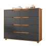 Modern Chest Of Drawers Doble Nature/titanium