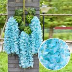 Weispark Wisteria Hanging Flowers - 12 Pieces 3.75 Feet piece Artificial Wisteria Vine Fake Ratta Hanging Garland Silk Flowers F