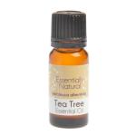 Tea Tree Pure Essential Oil Melaleuca Alternifolia - 1L