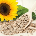 Sunflower Seed