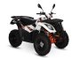 AU300 Efi 4 Stroke Quad - Electric Start + Reverse - White