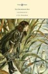 The Brushwood Boy - Illustrated By F. H. Townsend Hardcover