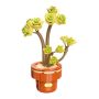 160 Piece - Building Block Succulent Plant Set - Yellow