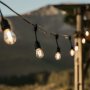 20m Festoon Drop String Lights | 20 Vintage Bulbs