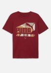 Puma Graphics Sports Tee - Intense Red