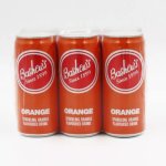 Bashews – Orange 330ML 6