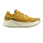 Salomon Aero Glide 3 Grvl Men's Running Shoes