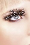 Black White Feather Eyelashes